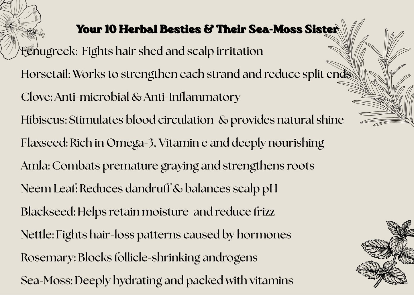 The Eclectic Hair Elixir